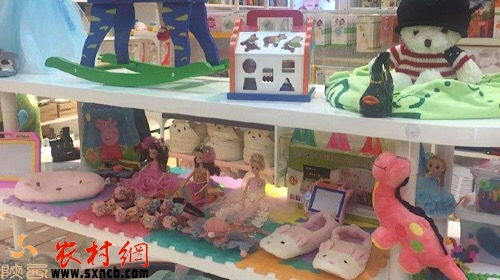 農(nóng)村三大新興創(chuàng)業(yè)項(xiàng)目 玩具銷售的市場機(jī)遇與運(yùn)營策略